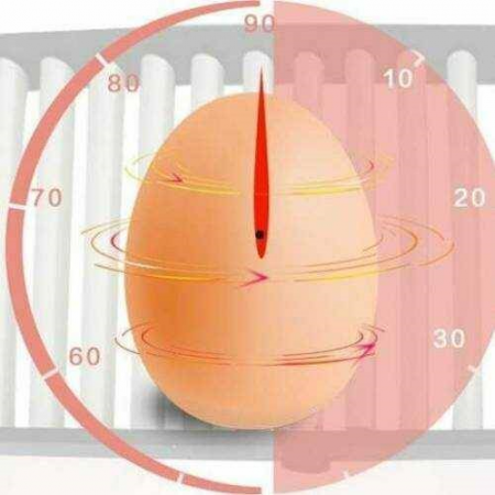 Incubator pentru oua Demetra DM-36 - imagine 3