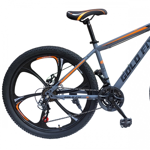Bicicleta 26 Gold Fiy CF052 - imagine 2